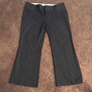 Maurices I Am Smart Grey Slacks